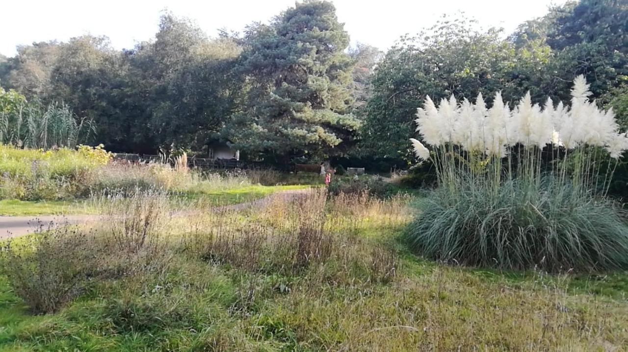 Many Worlds Meet - Eurostar, Wimbledon 30 Mins, Central London, Gatwick 15 Mins - Spacious, Sleeps Up To 16 Plus Cot - Free Wifi, Parking - Next To Lloyd Park, Great For Families, Walkers, Relocators - Ideal For Contractors Croydon Esterno foto