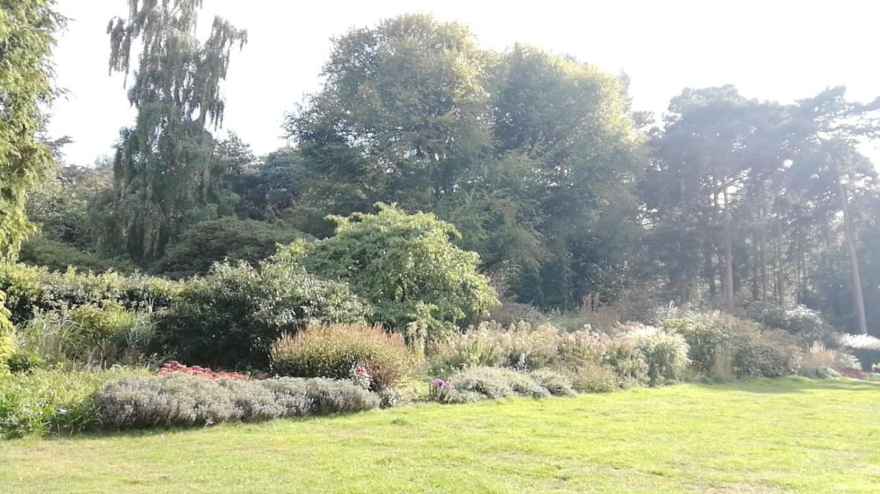 Many Worlds Meet - Eurostar, Wimbledon 30 Mins, Central London, Gatwick 15 Mins - Spacious, Sleeps Up To 16 Plus Cot - Free Wifi, Parking - Next To Lloyd Park, Great For Families, Walkers, Relocators - Ideal For Contractors Croydon Esterno foto