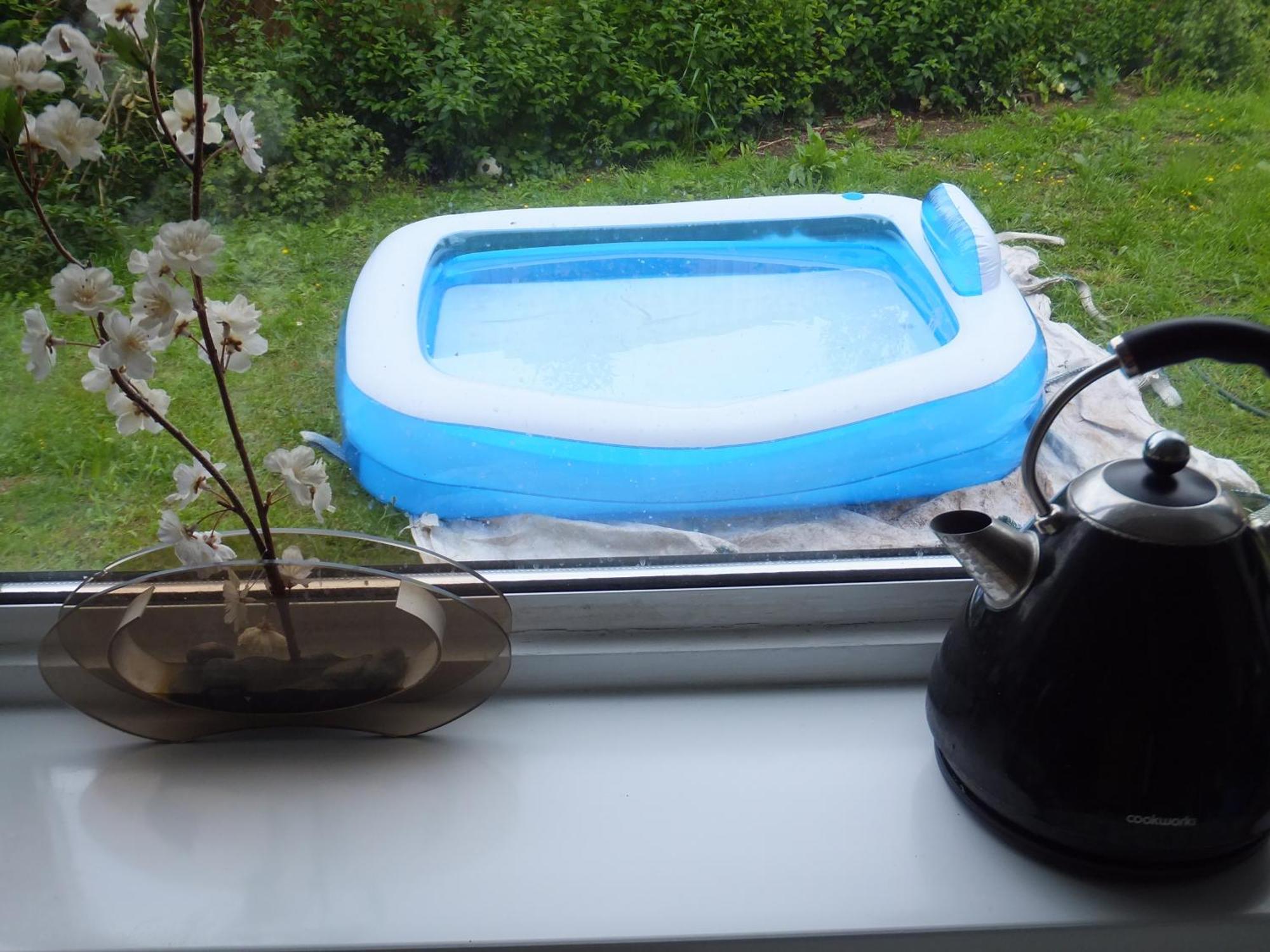 Many Worlds Meet - Eurostar, Wimbledon 30 Mins, Central London, Gatwick 15 Mins - Spacious, Sleeps Up To 16 Plus Cot - Free Wifi, Parking - Next To Lloyd Park, Great For Families, Walkers, Relocators - Ideal For Contractors Croydon Esterno foto